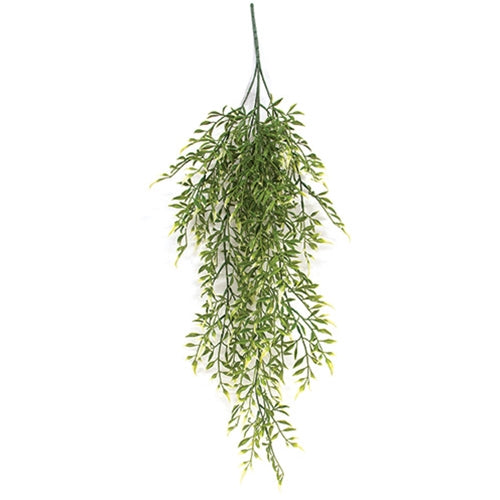 Cream Tipped Smilax Hanging Bush - 33"