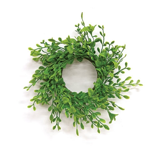 Fresh Sprouted English Boxwood Candle Ring - 3.25"