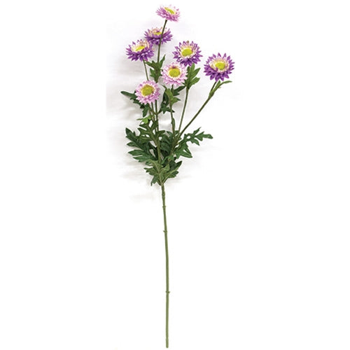 Lilac Strawflower Spray - 25"