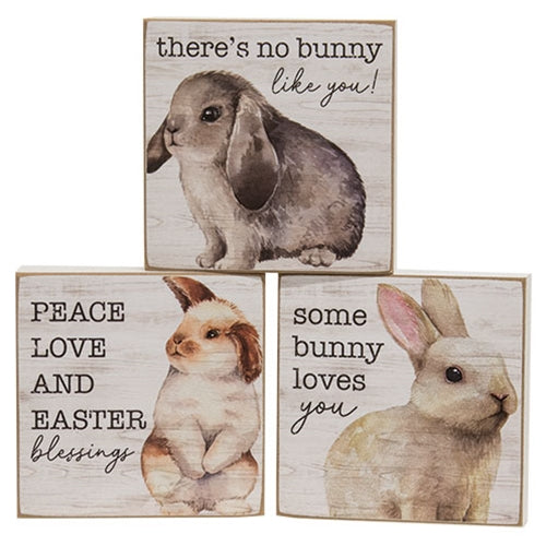 Bunny Love Square Block - 3 Asstd.